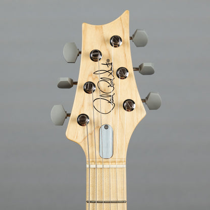 Paul Reed Smith Silver Sky Maple in Frost