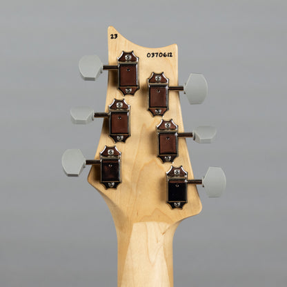 Paul Reed Smith Silver Sky Maple in Frost