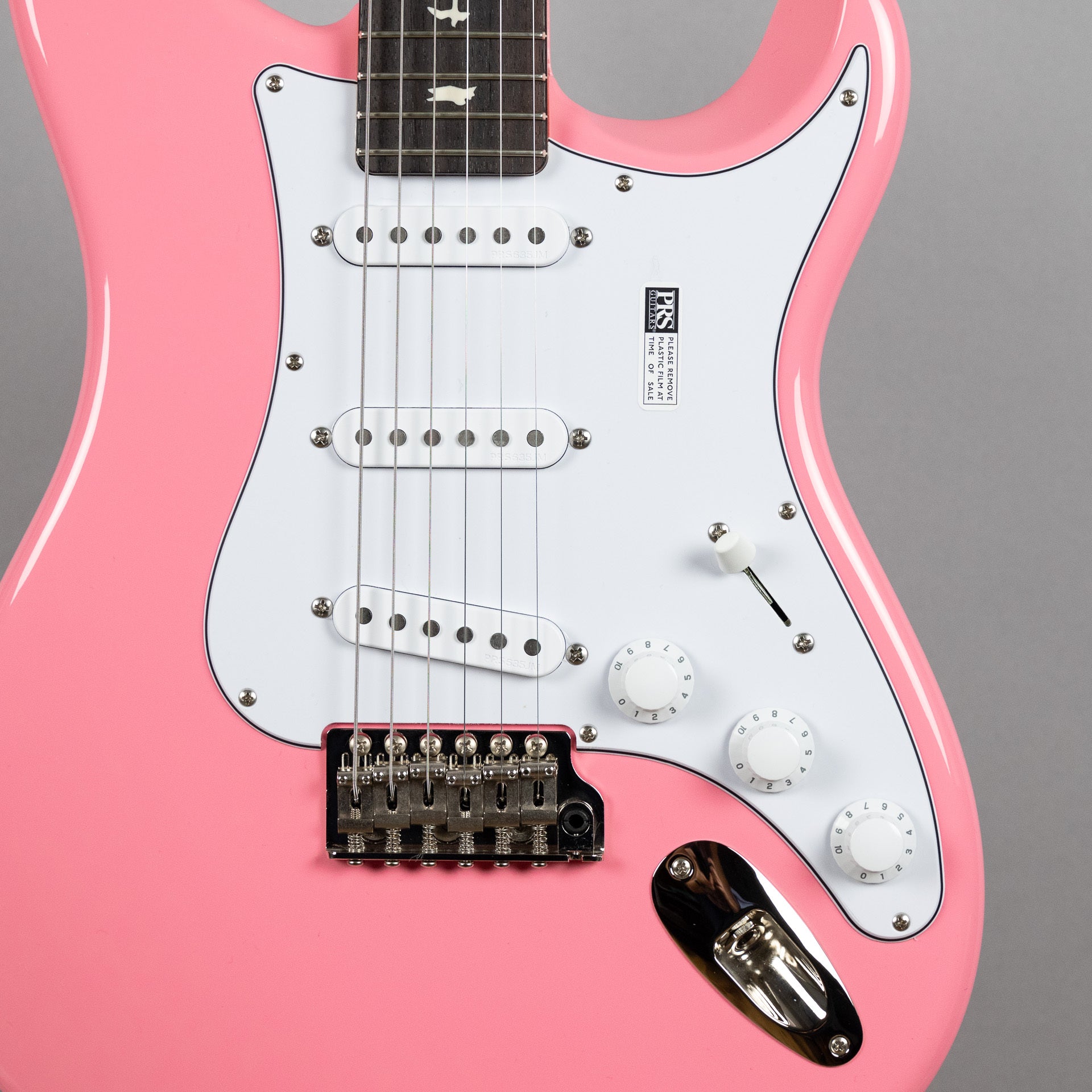 Paul Reed Smith Silver Sky Rosewood in Roxy Pink