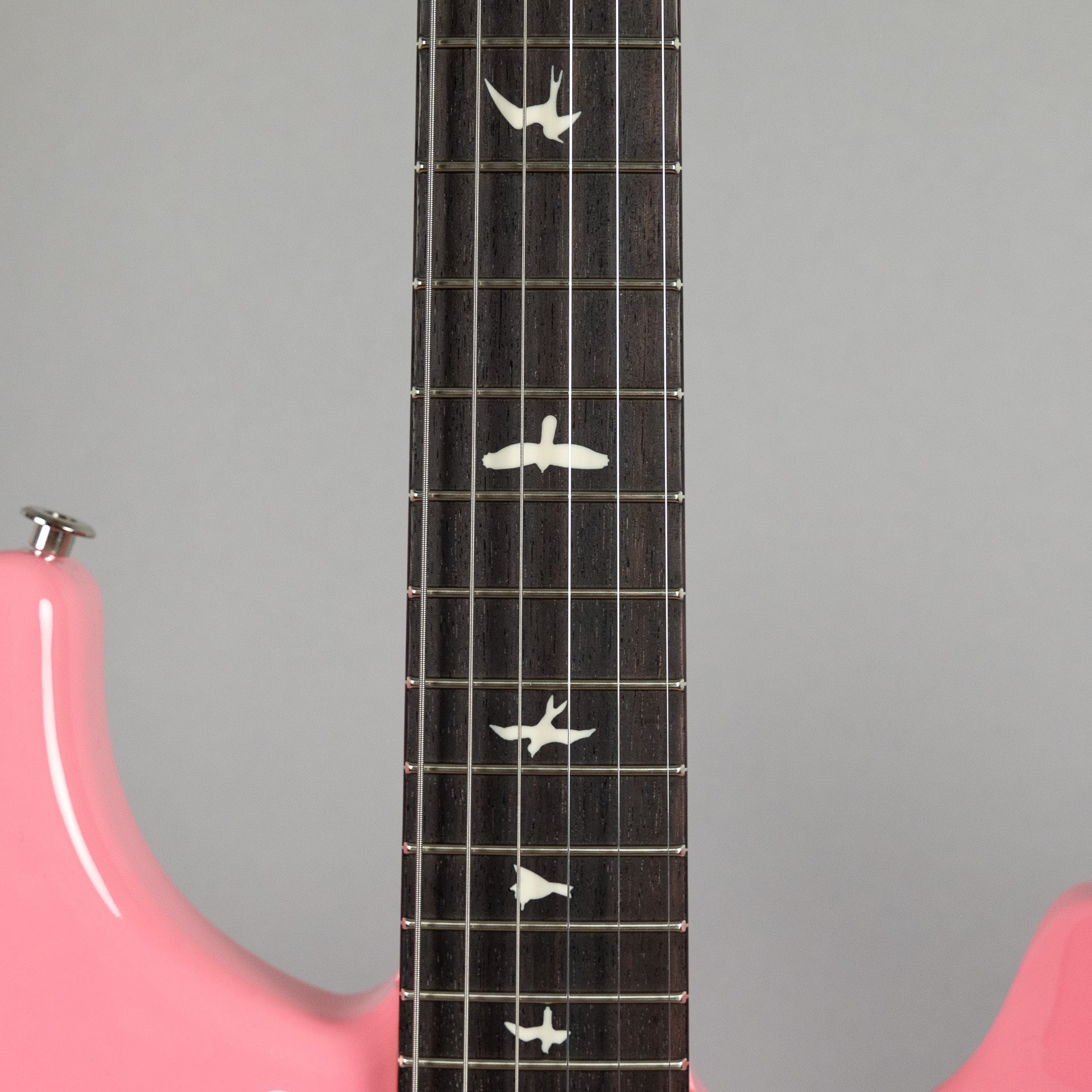Paul Reed Smith Silver Sky Rosewood in Roxy Pink