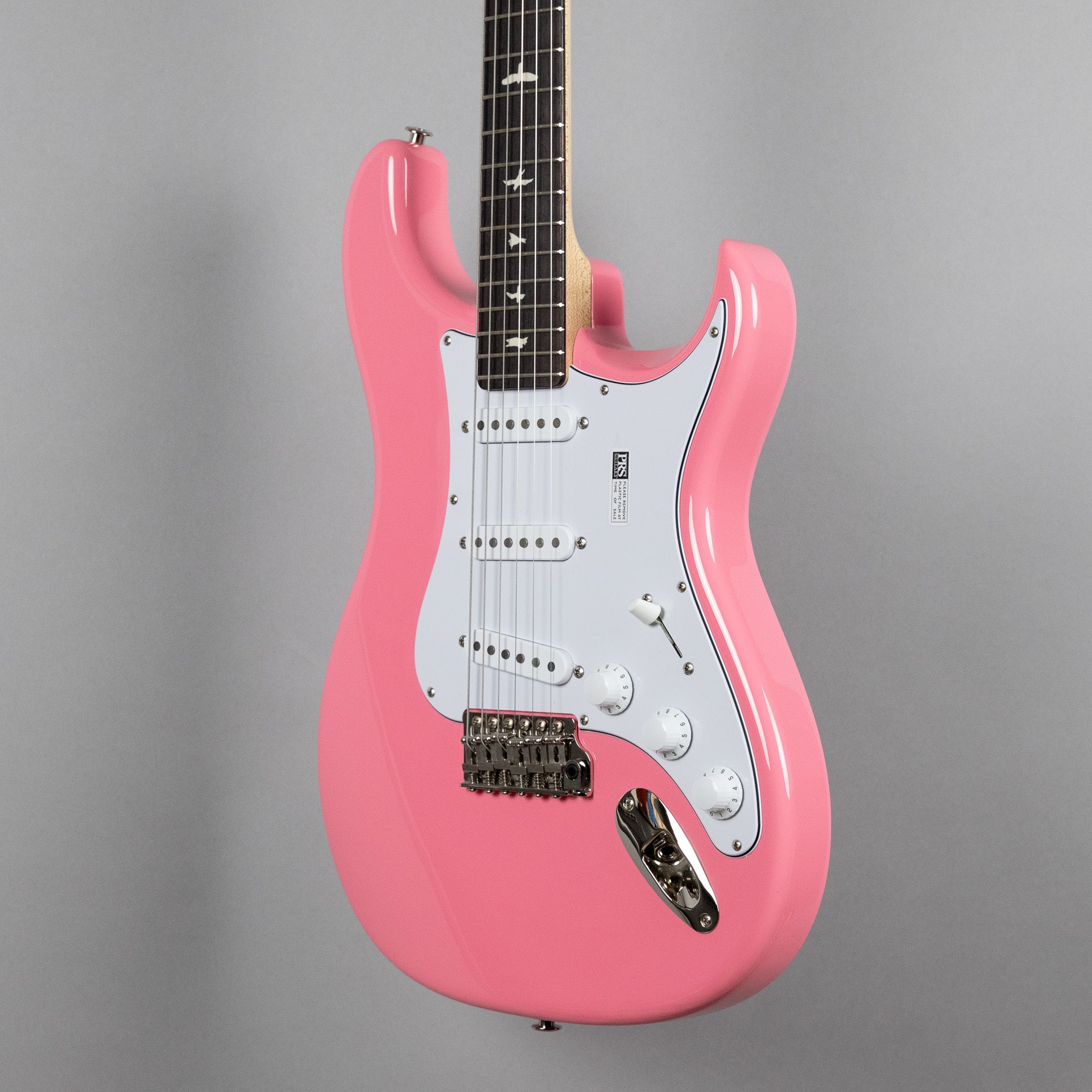 Paul Reed Smith Silver Sky Rosewood in Roxy Pink