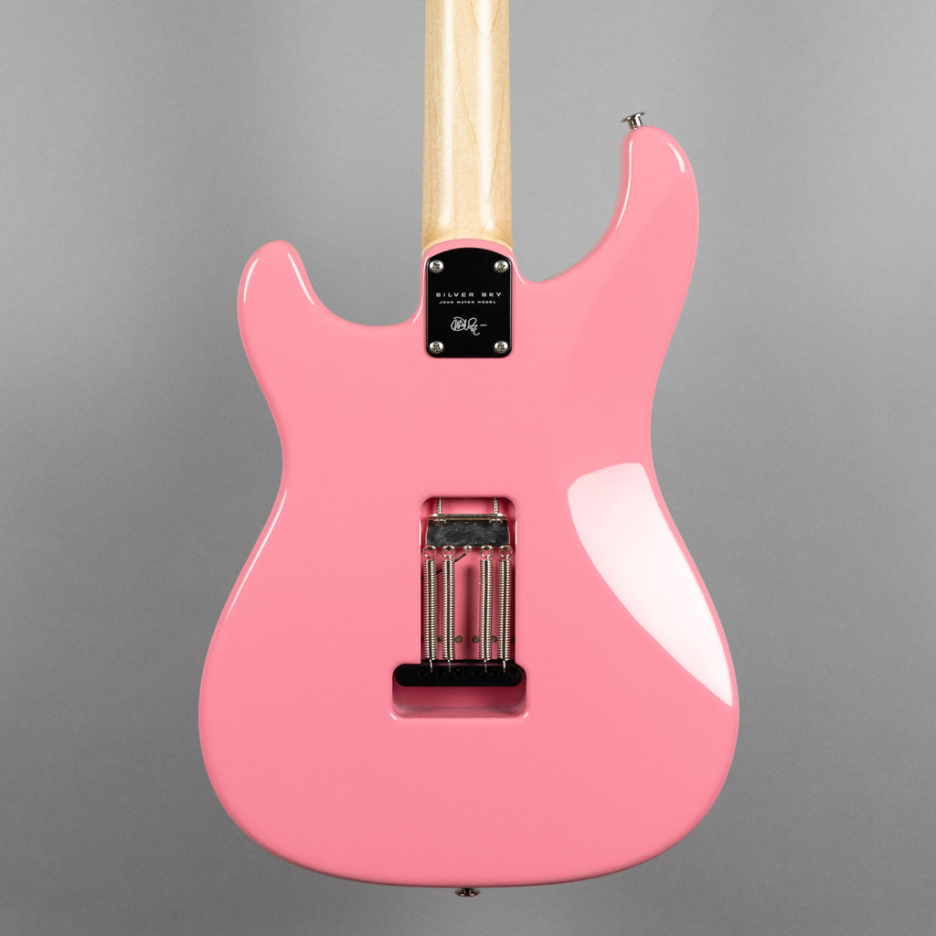 Paul Reed Smith Silver Sky Rosewood in Roxy Pink