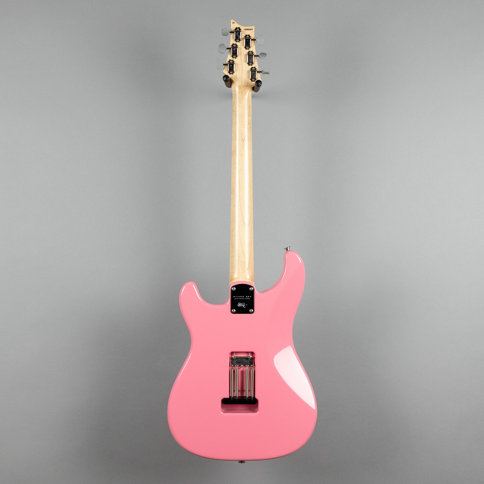 Paul Reed Smith Silver Sky Rosewood in Roxy Pink