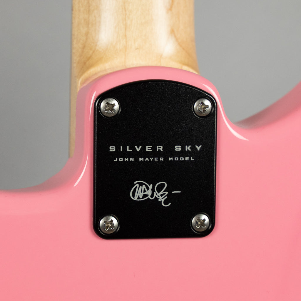 Paul Reed Smith Silver Sky Rosewood in Roxy Pink