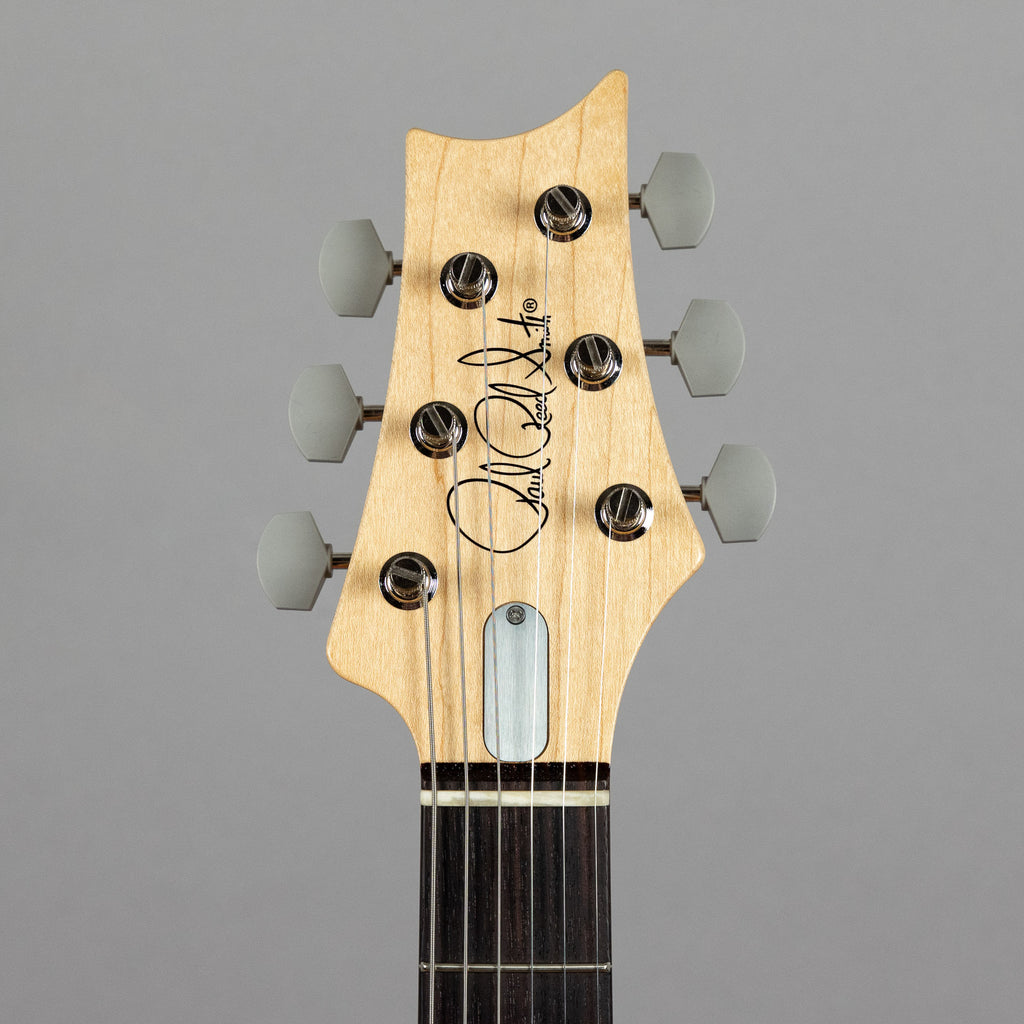 Paul Reed Smith Silver Sky Rosewood in Roxy Pink