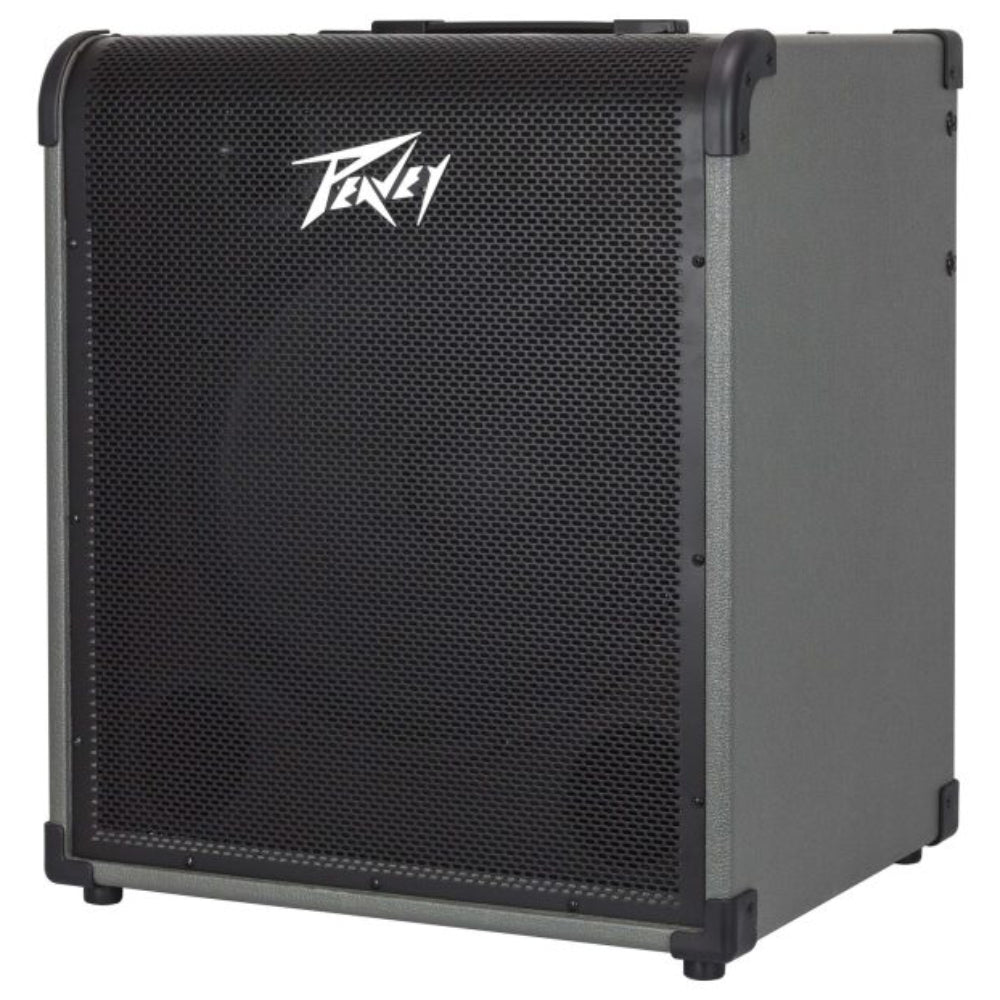 Peavey 250 250-Watt Bass Amp Combo
