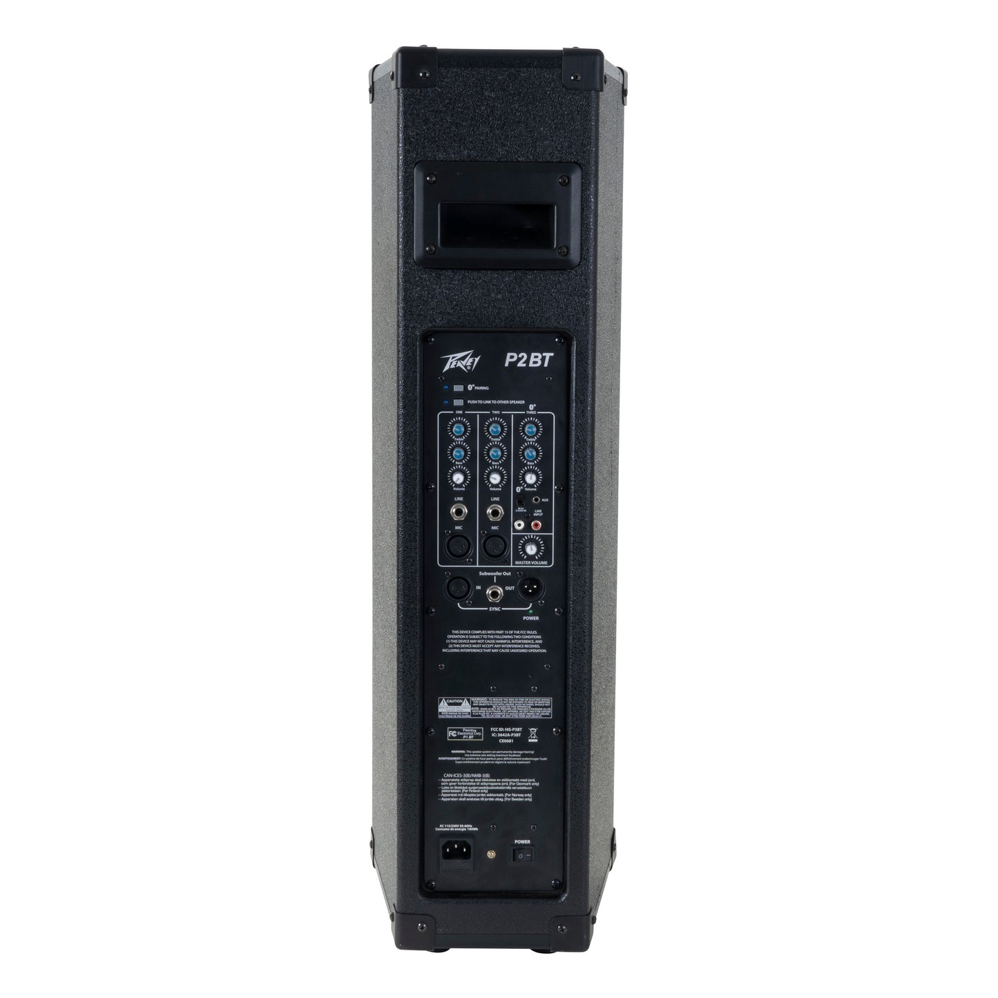 Peavey P2 BT All-in-One Portable PA System