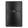 Peavey PVX 12 Non Powered PA Speaker