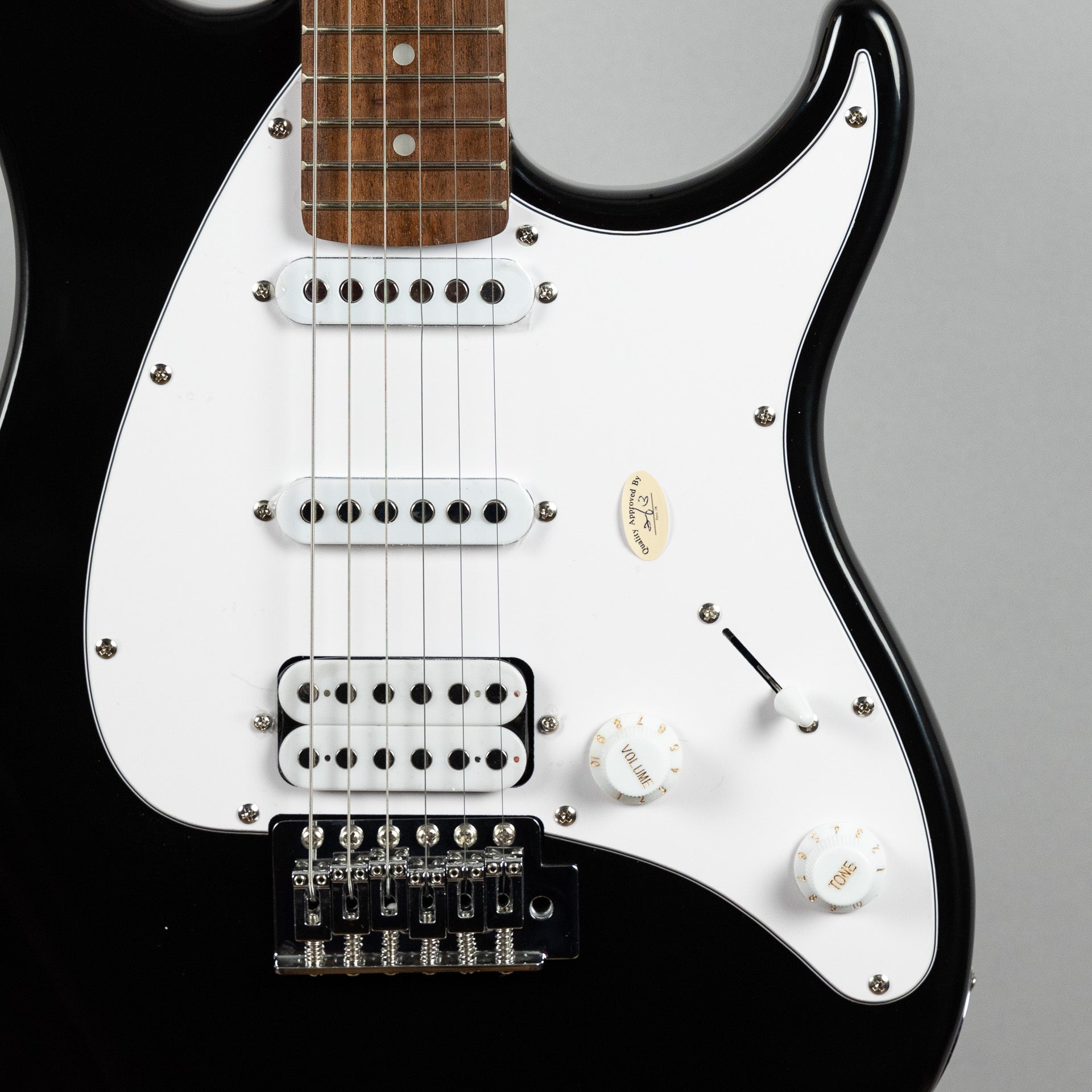 Peavey Raptor Plus Electric Guitar, Black – Carlton Music Center
