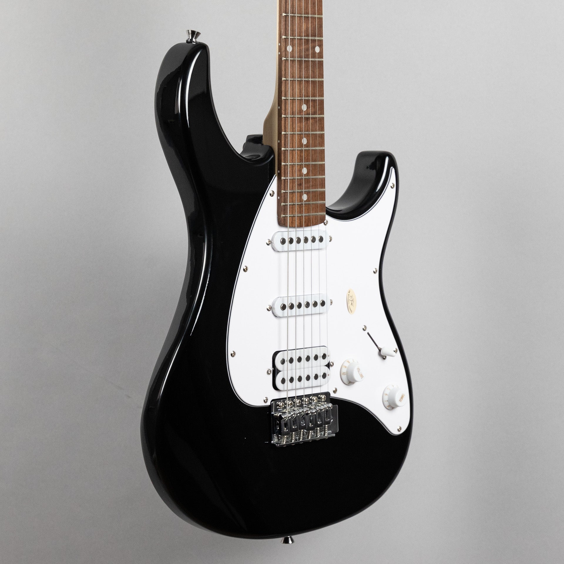 Peavey Raptor Plus Electric Guitar, Black – Carlton Music Center