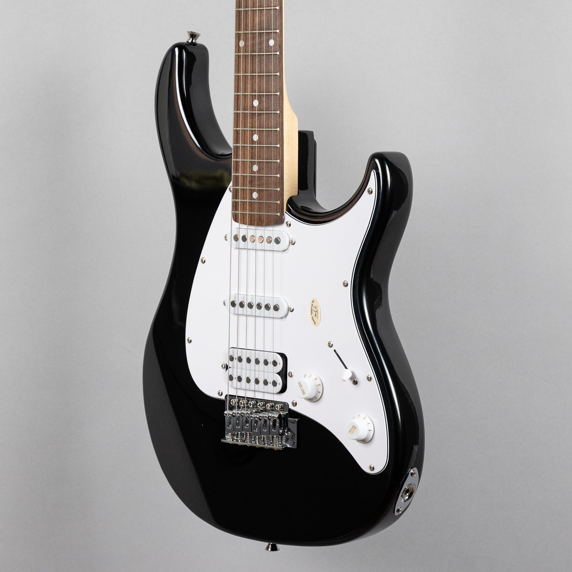 Peavey Raptor Plus Electric Guitar, Black – Carlton Music Center