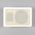 Peavey WS52T Ceiling/Wall Speaker