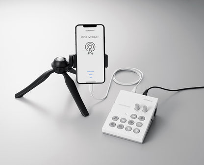 Roland Go Live Cast Audio interface