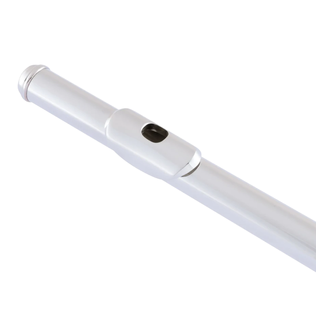 Selmer SFL611BEOC Professional Concert Flute, Open Hole, Offset G, Split E, C# Trill