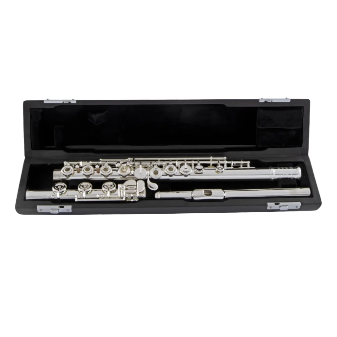 Selmer SFL611BEOC Professional Concert Flute, Open Hole, Offset G, Split E, C# Trill