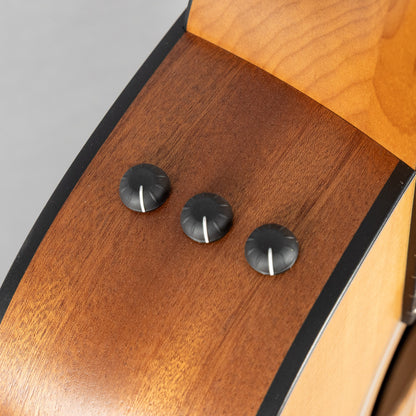 Taylor 110ce Acoustic Guitar, Sapele Back & Sides