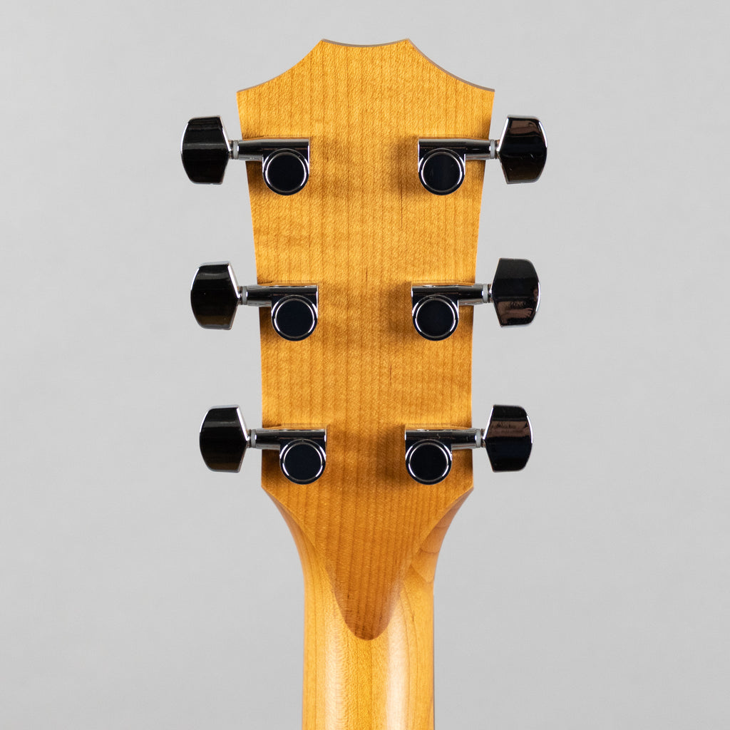 Taylor 110ce Acoustic Guitar, Sapele Back & Sides
