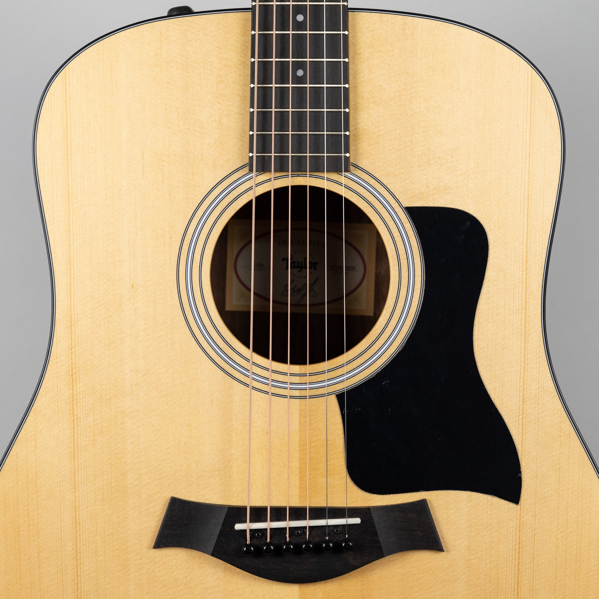Taylor 110e Acoustic Guitar Walnut Back/Sides – Carlton Music Center