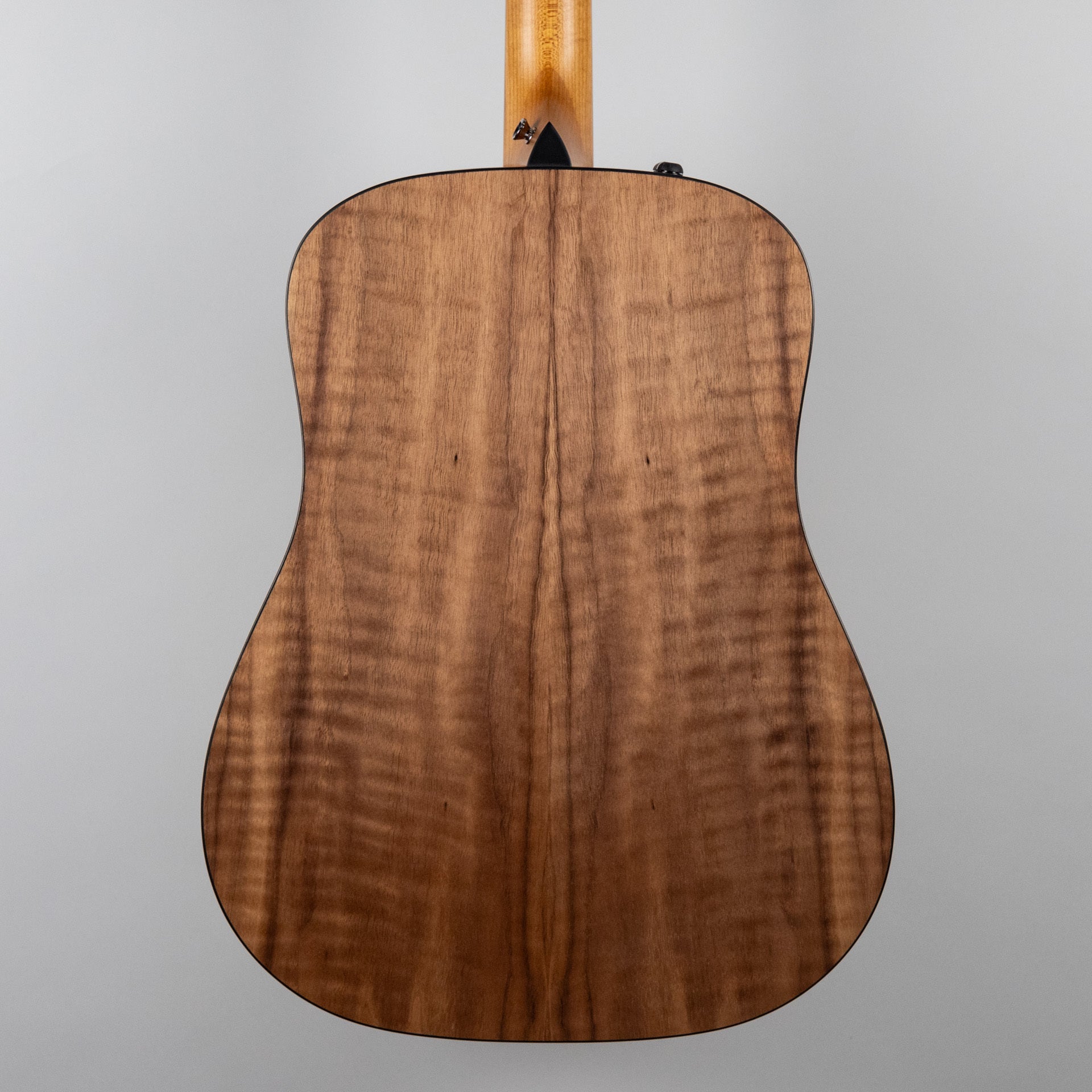Taylor 110e Acoustic Guitar Walnut Back/Sides – Carlton Music Center