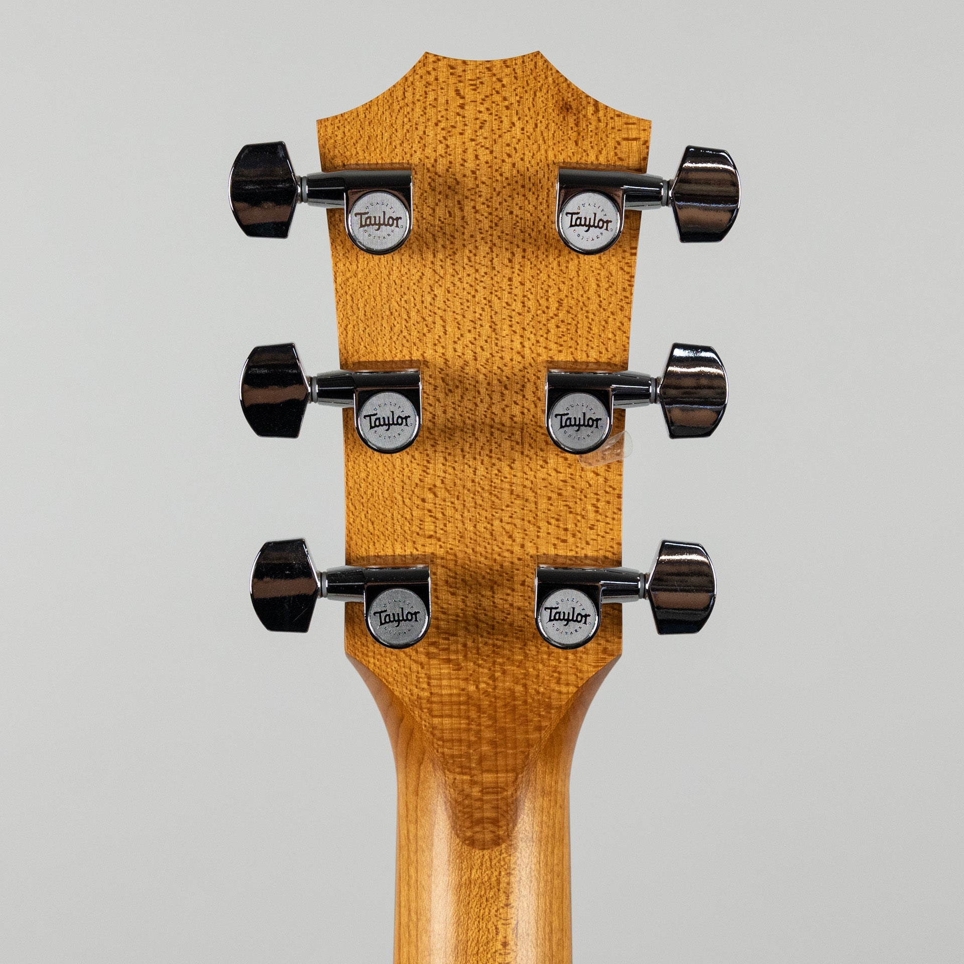 Taylor 110e Acoustic Guitar Walnut Back/Sides – Carlton Music Center