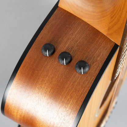 Taylor 114ce Acoustic Guitar, Sapele Back & Sides