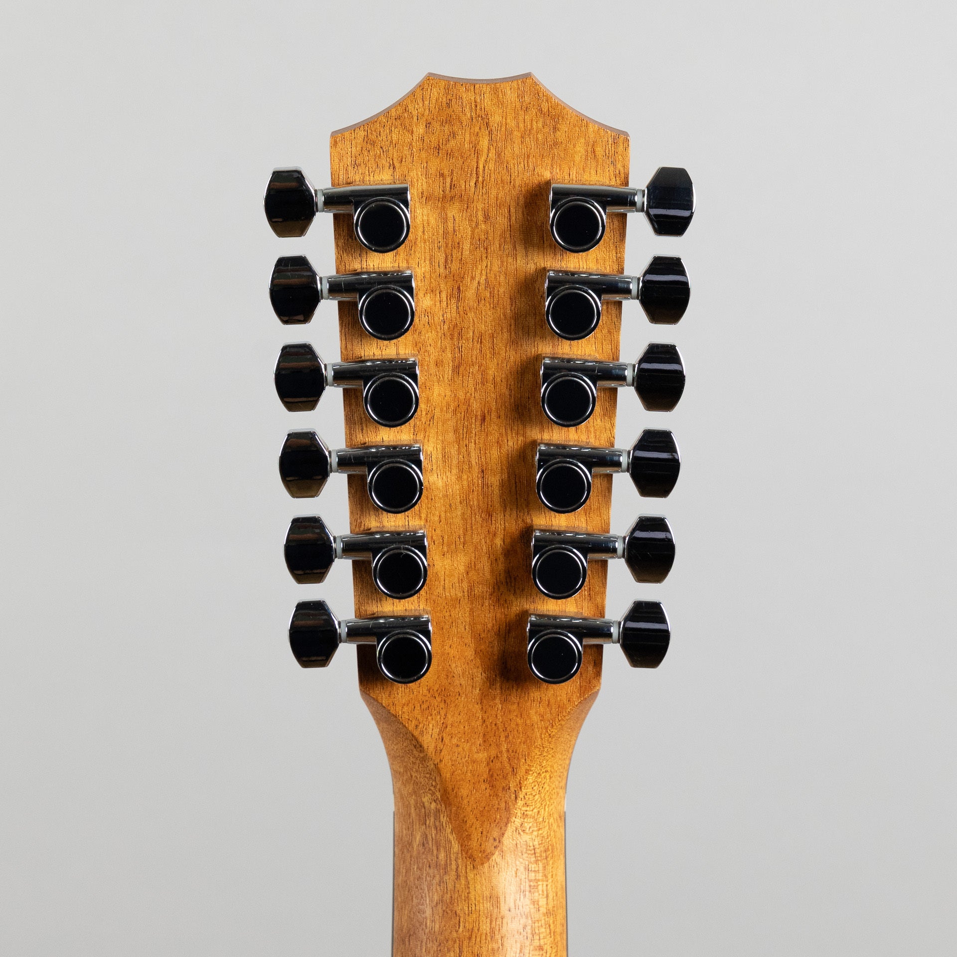 Taylor 150ce 12-String Acoustic Guitar