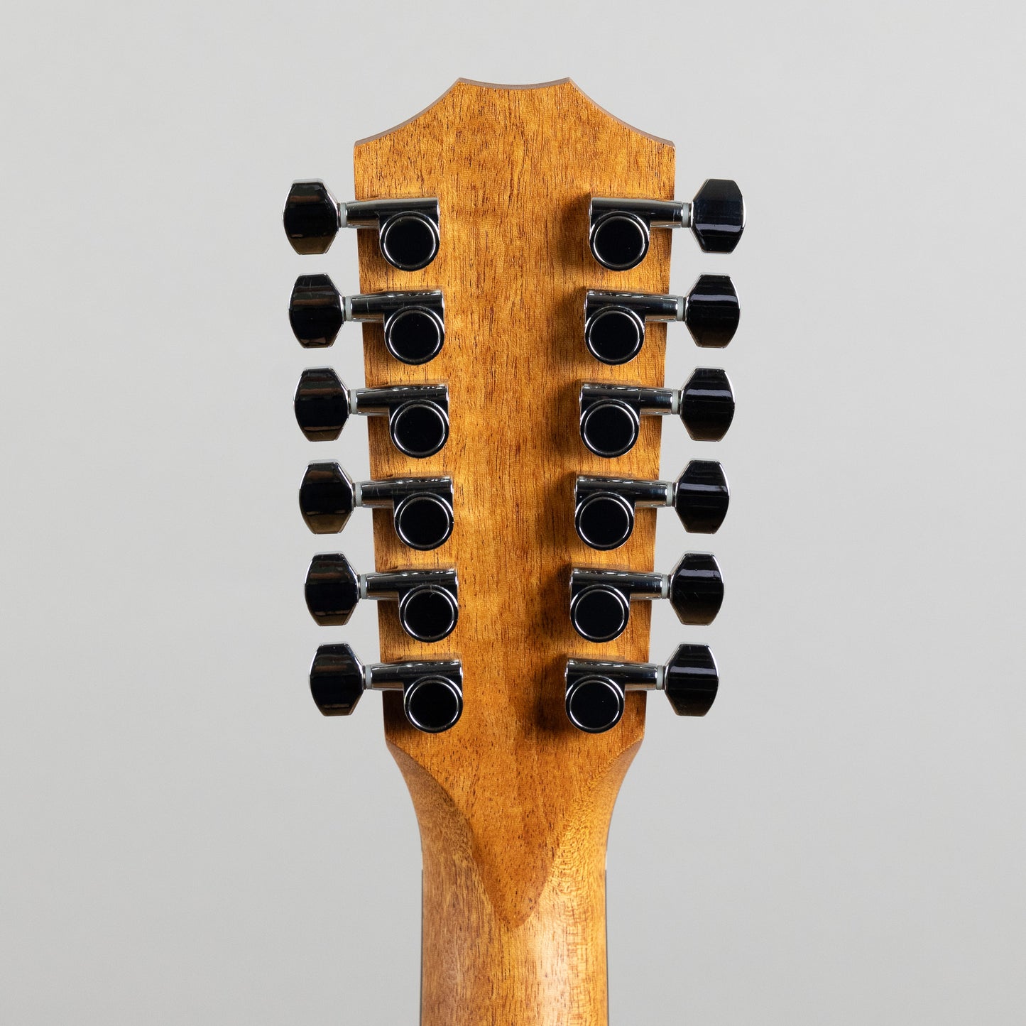 Taylor 150ce 12-String Acoustic Guitar