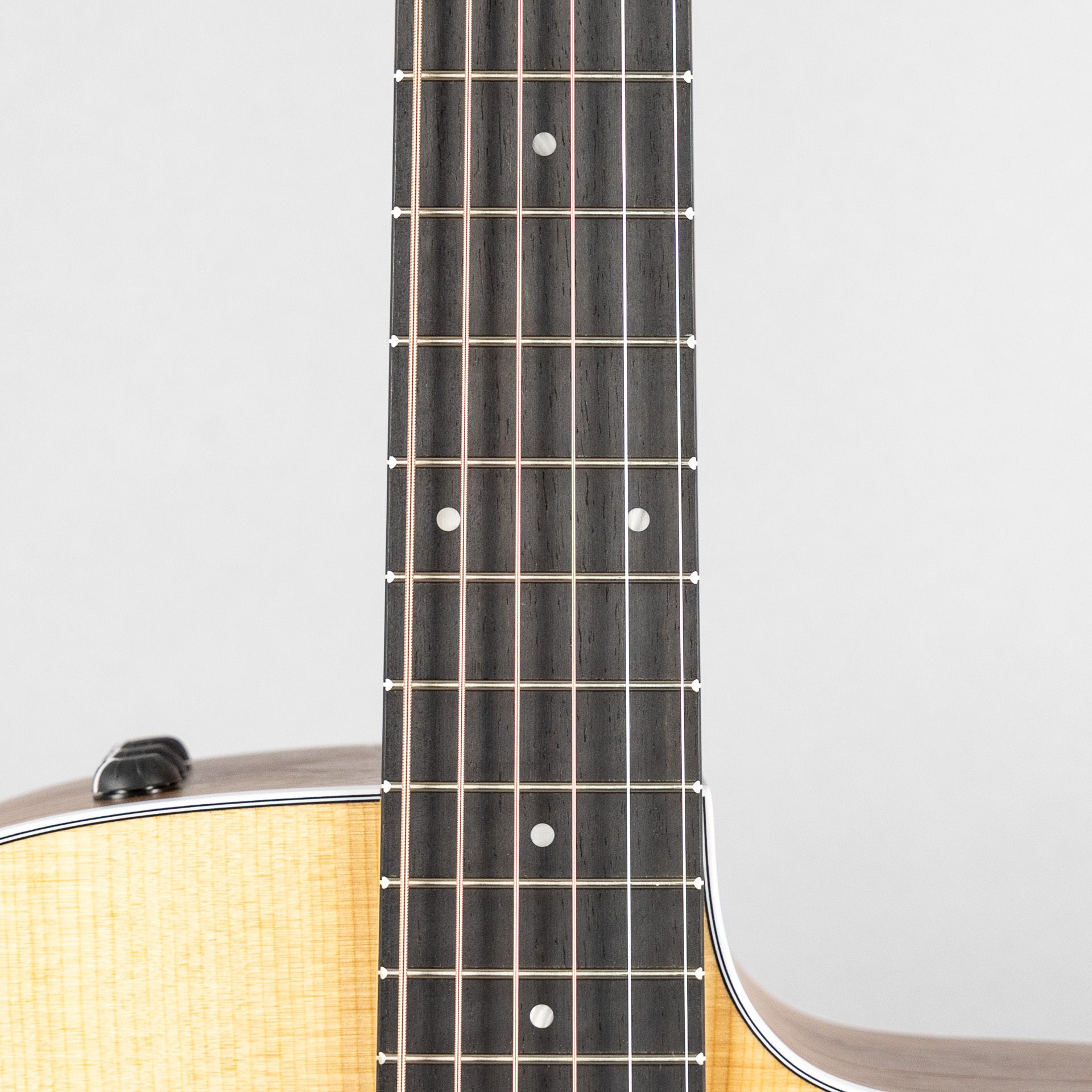 Taylor 210ce Acoustic Guitar