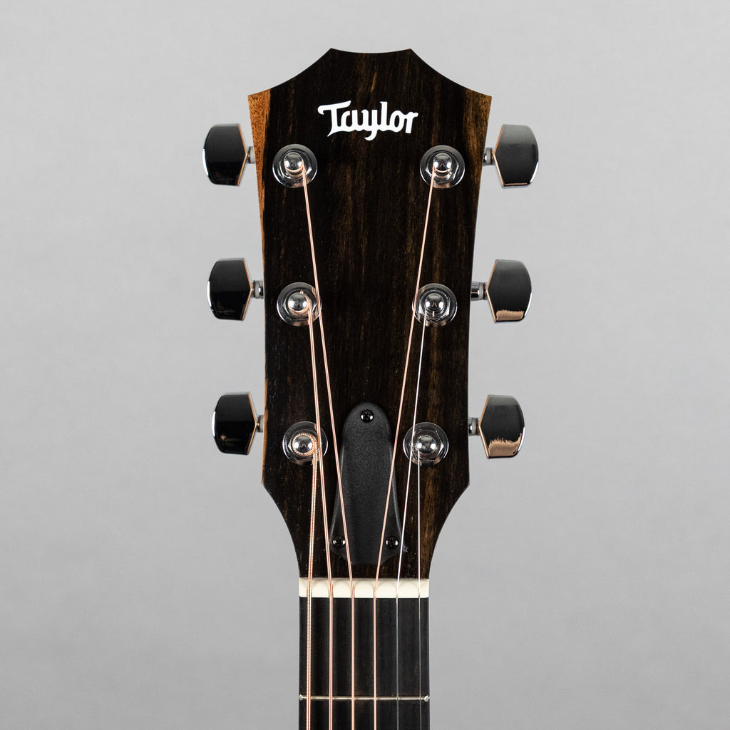 Taylor 210ce Acoustic Guitar