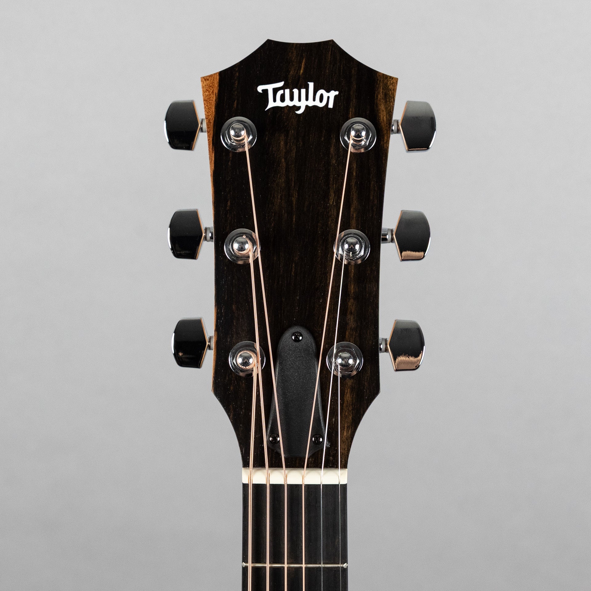 Taylor 210ce Acoustic Guitar