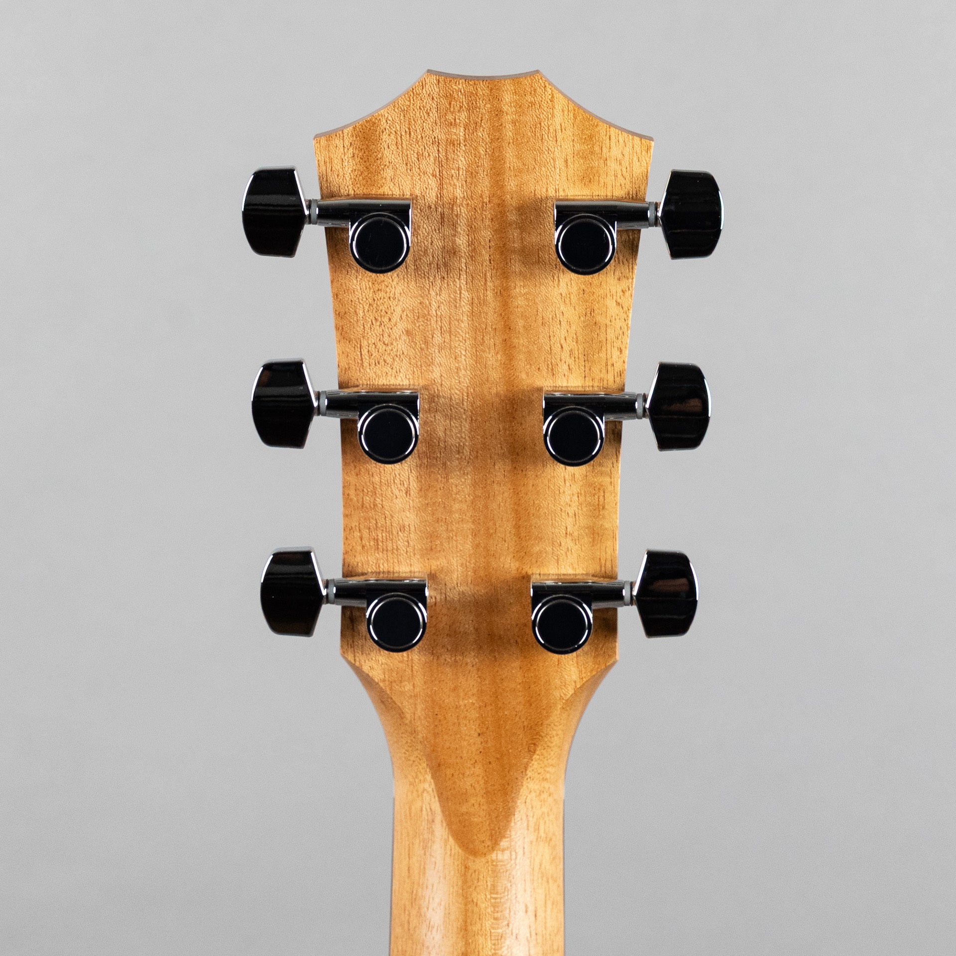 Taylor 210ce Acoustic Guitar