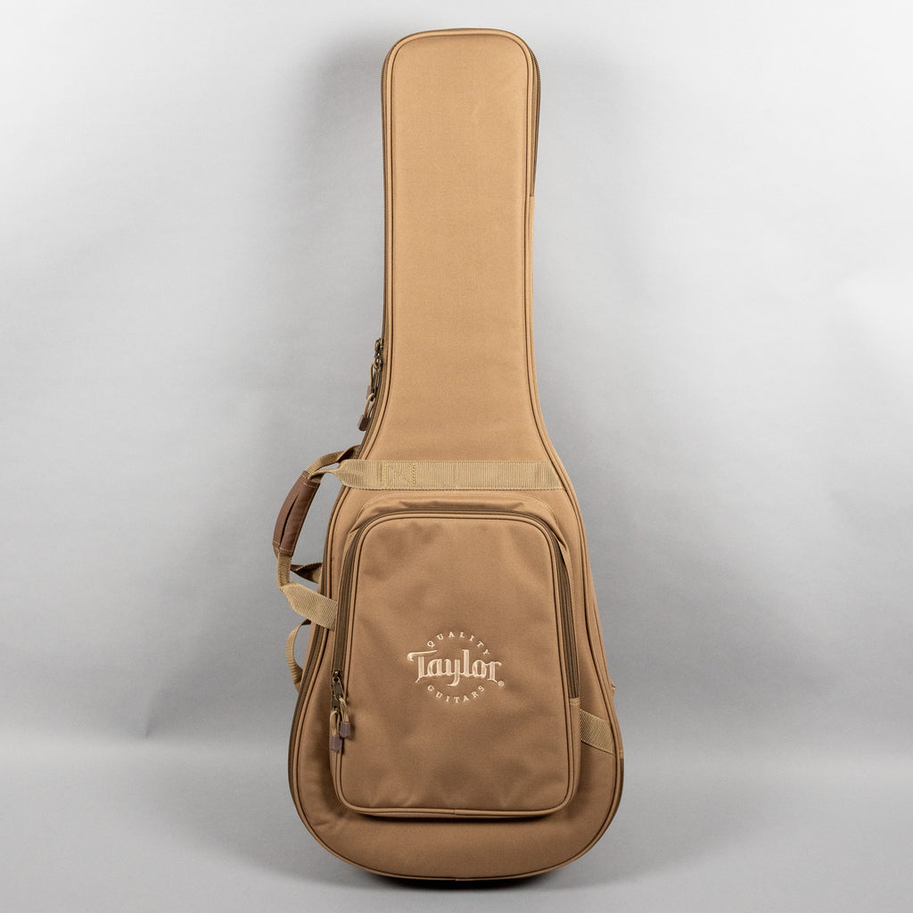 Taylor 210ce Acoustic Guitar