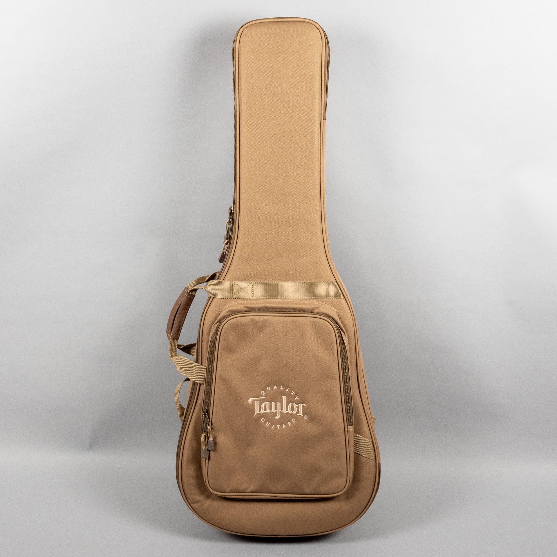 Taylor 210ce Acoustic Guitar