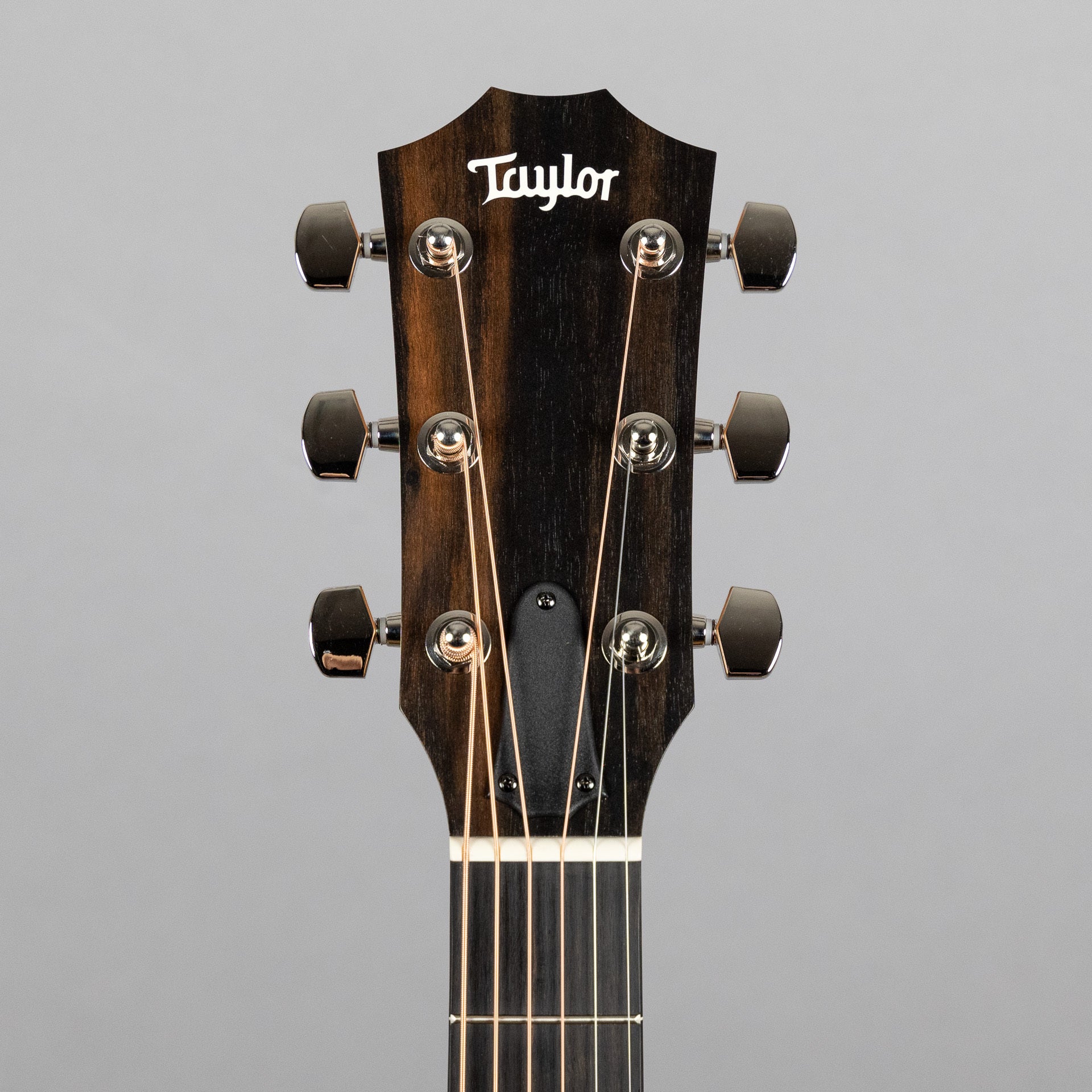Taylor 210ce Plus Acoustic Guitar