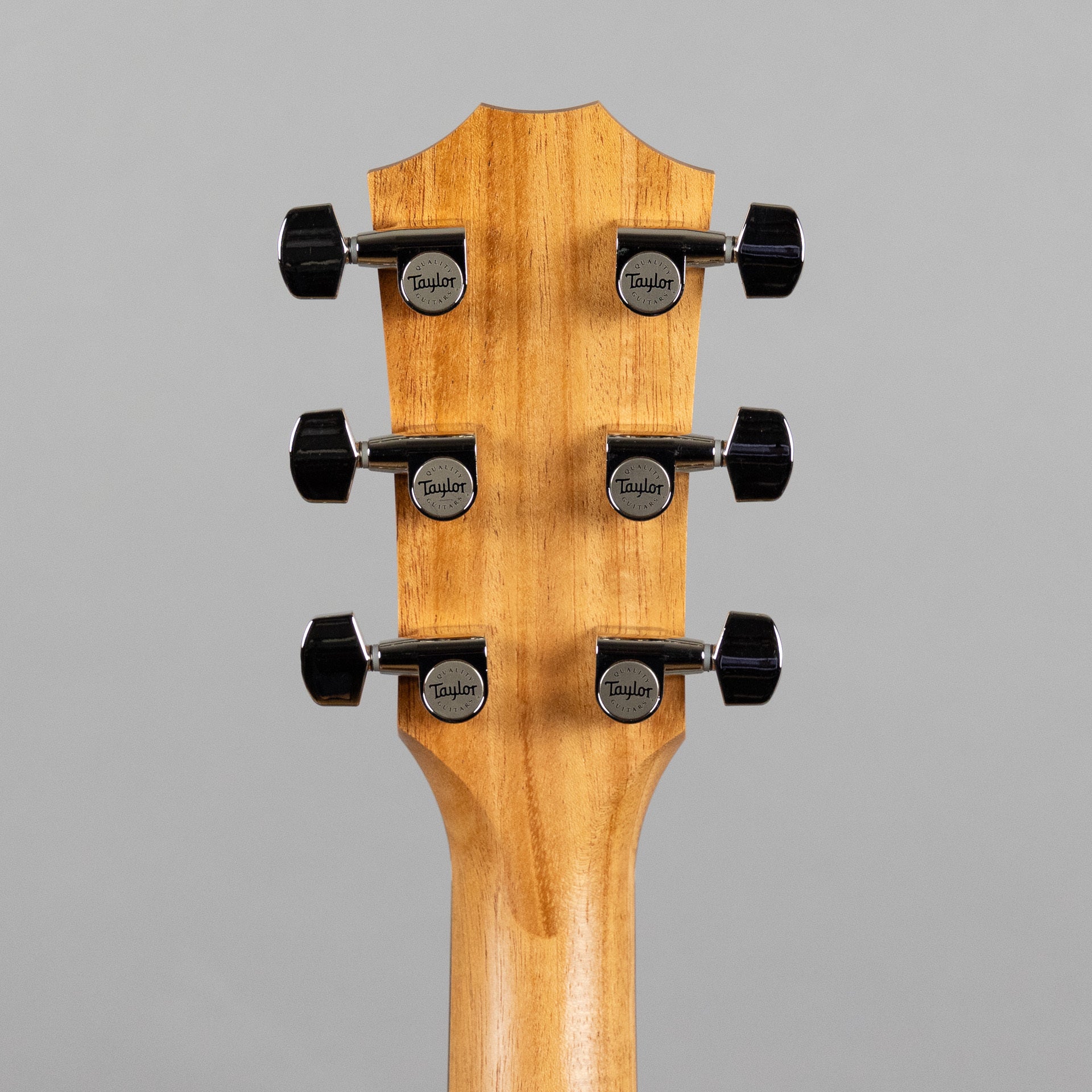 Taylor 210ce Plus Acoustic Guitar