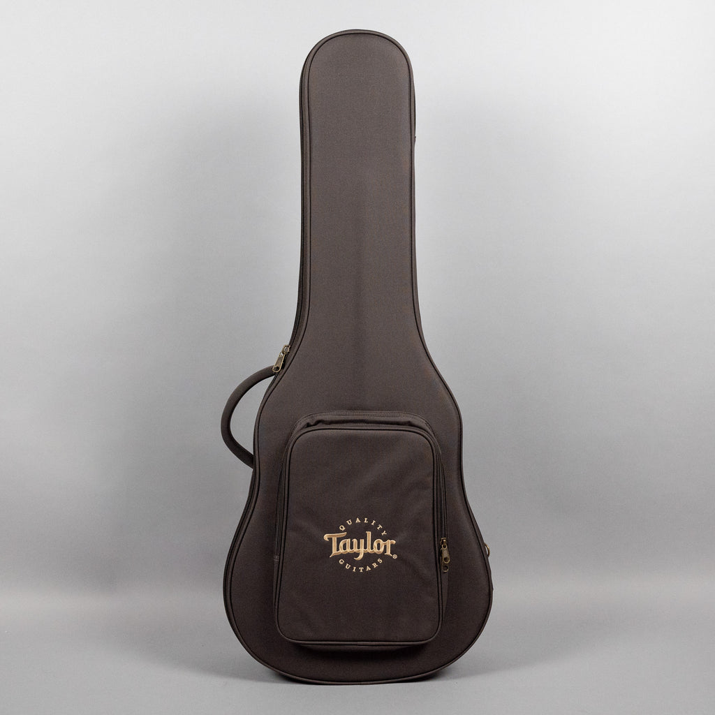Taylor 210ce Plus Acoustic Guitar