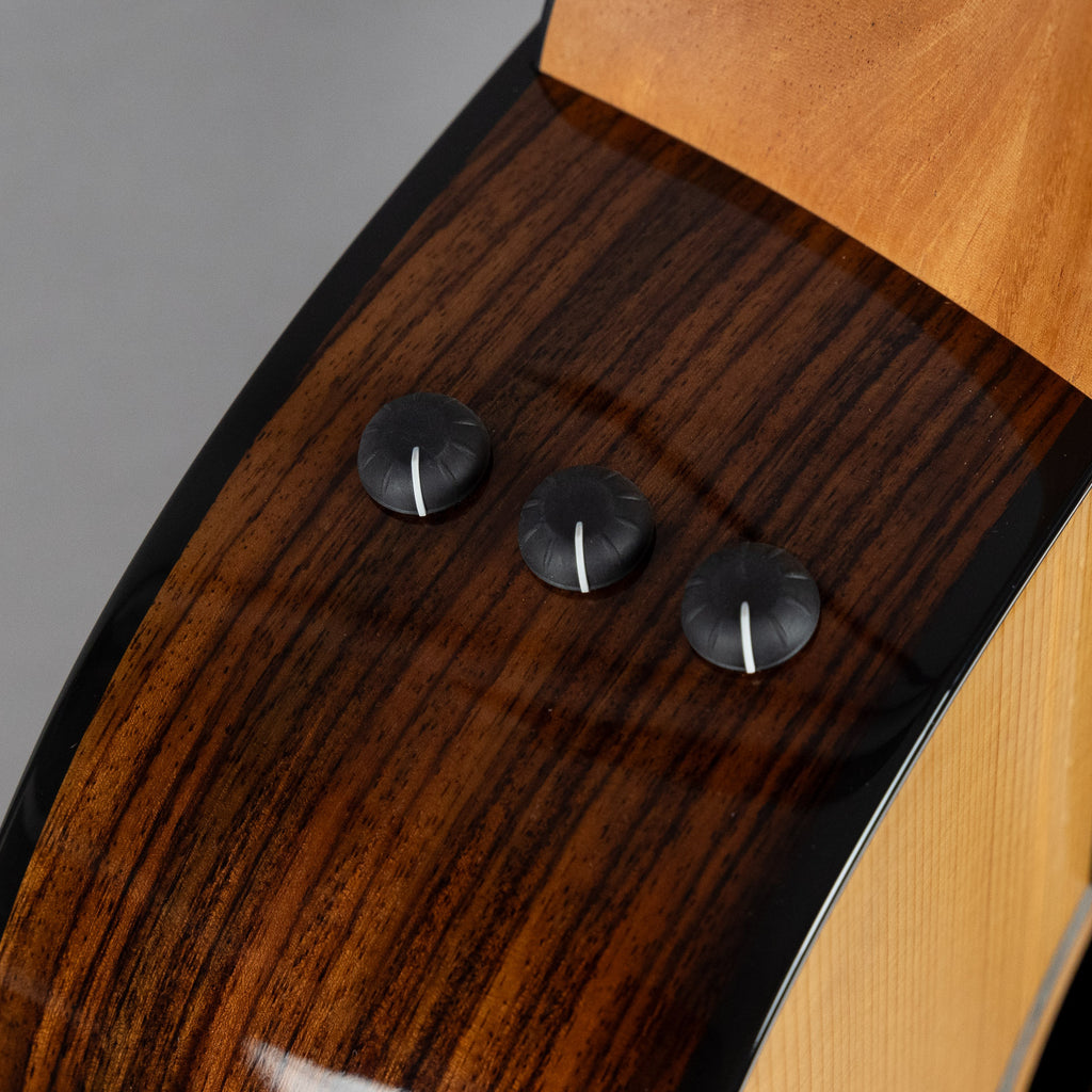 Taylor 214ce Plus Acoustic Guitar