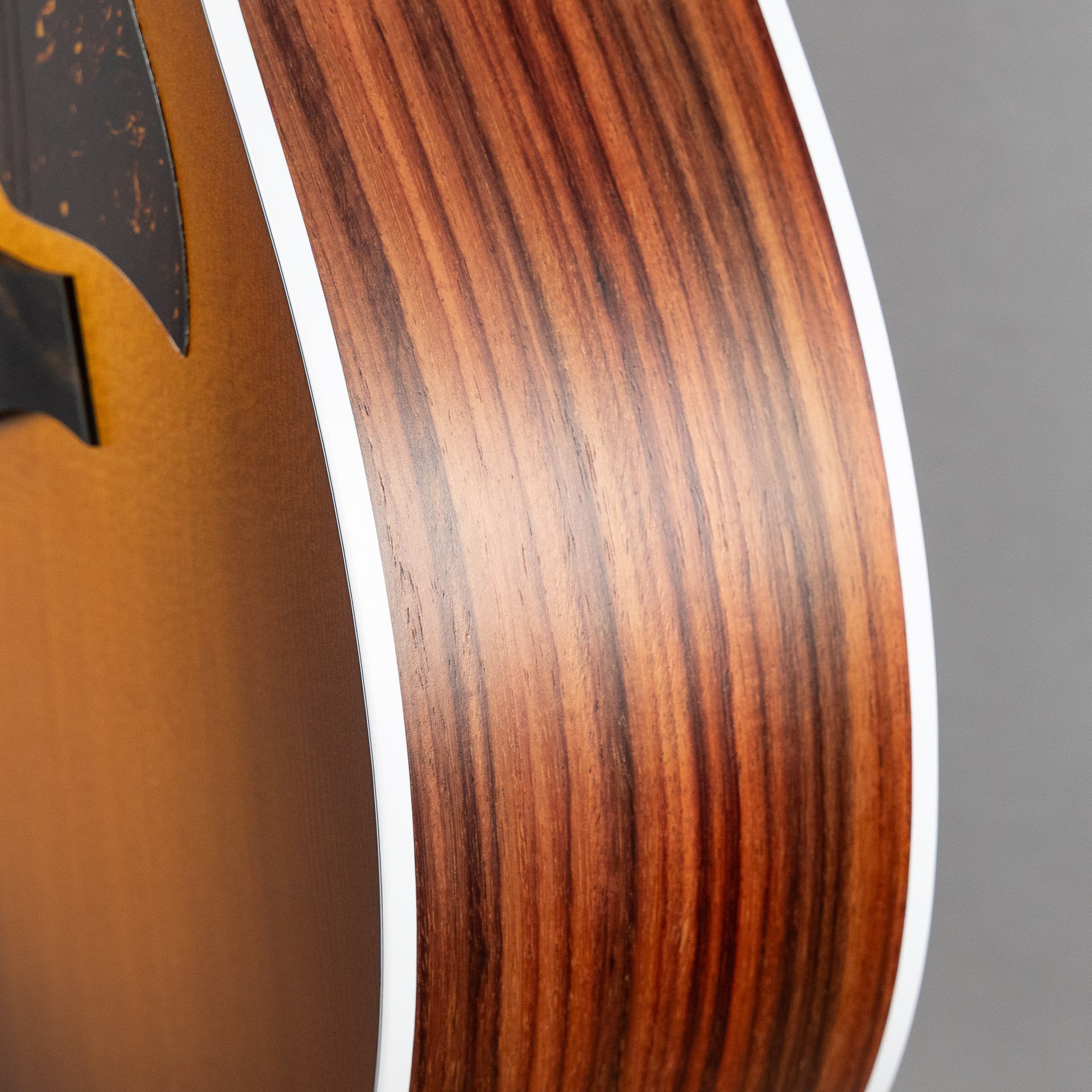 Taylor 214ce Special Edition Honeyburst