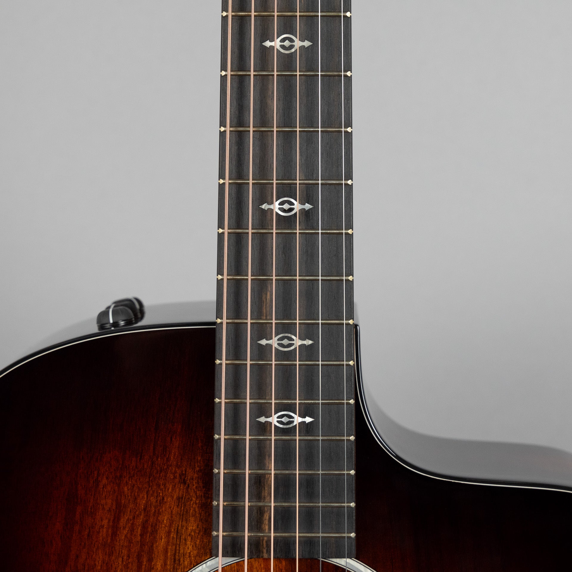 Taylor 224ce-K DLX Acoustic Guitar