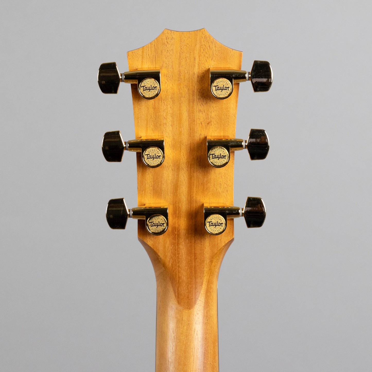 Taylor 224ce-K DLX Acoustic Guitar