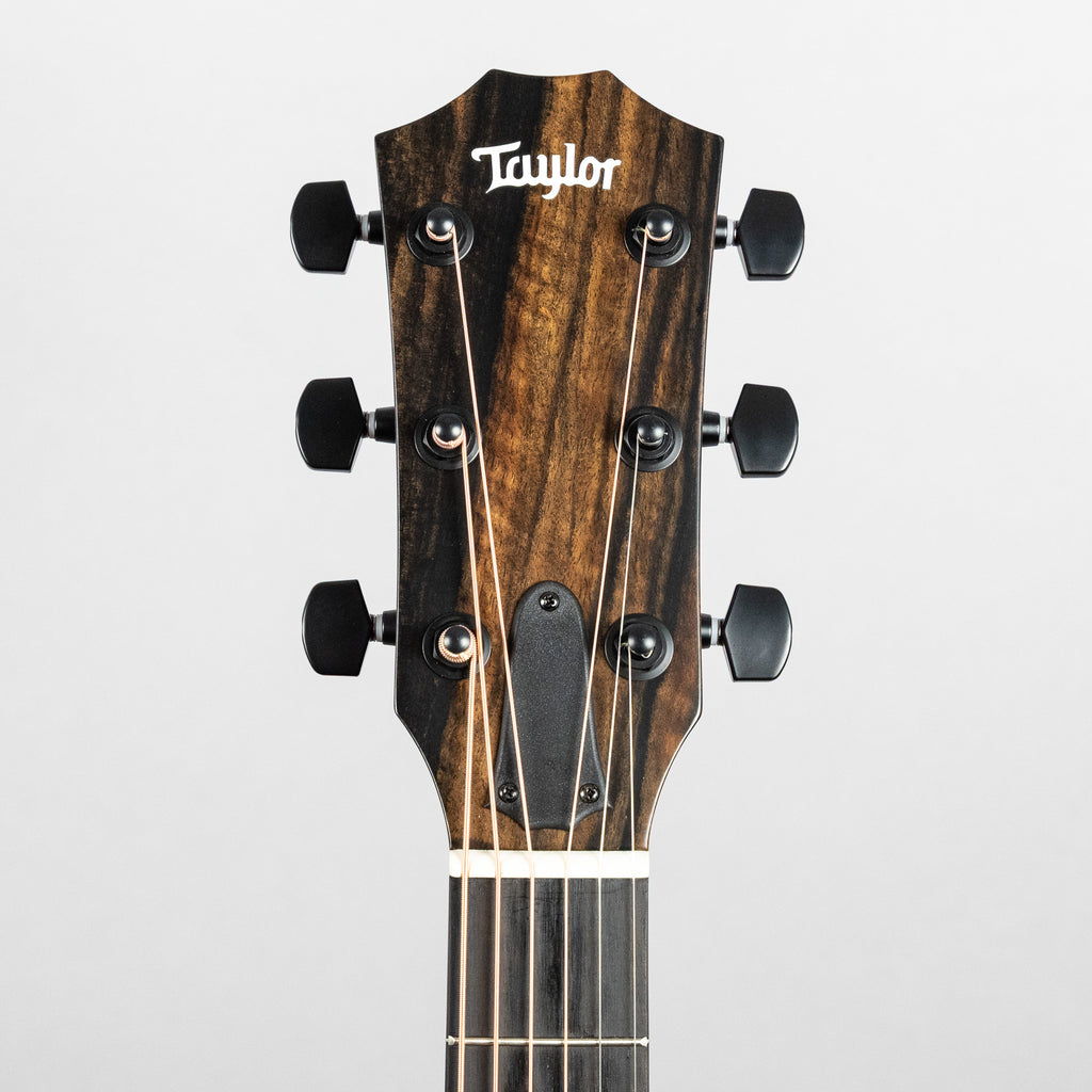 Taylor 224ce Plus Special Edition, Trans Red