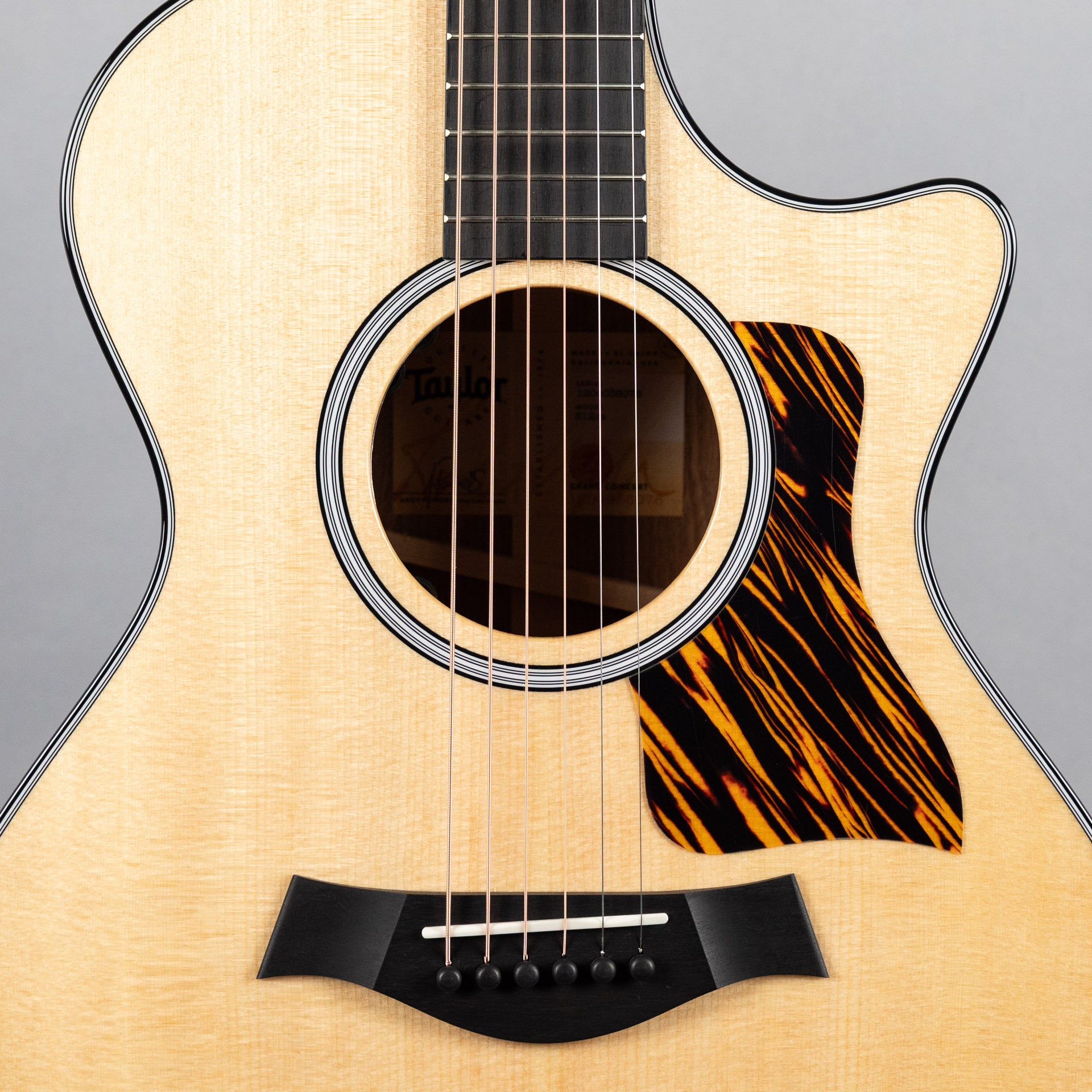 Taylor 312ce, Next Generation – Carlton Music Center