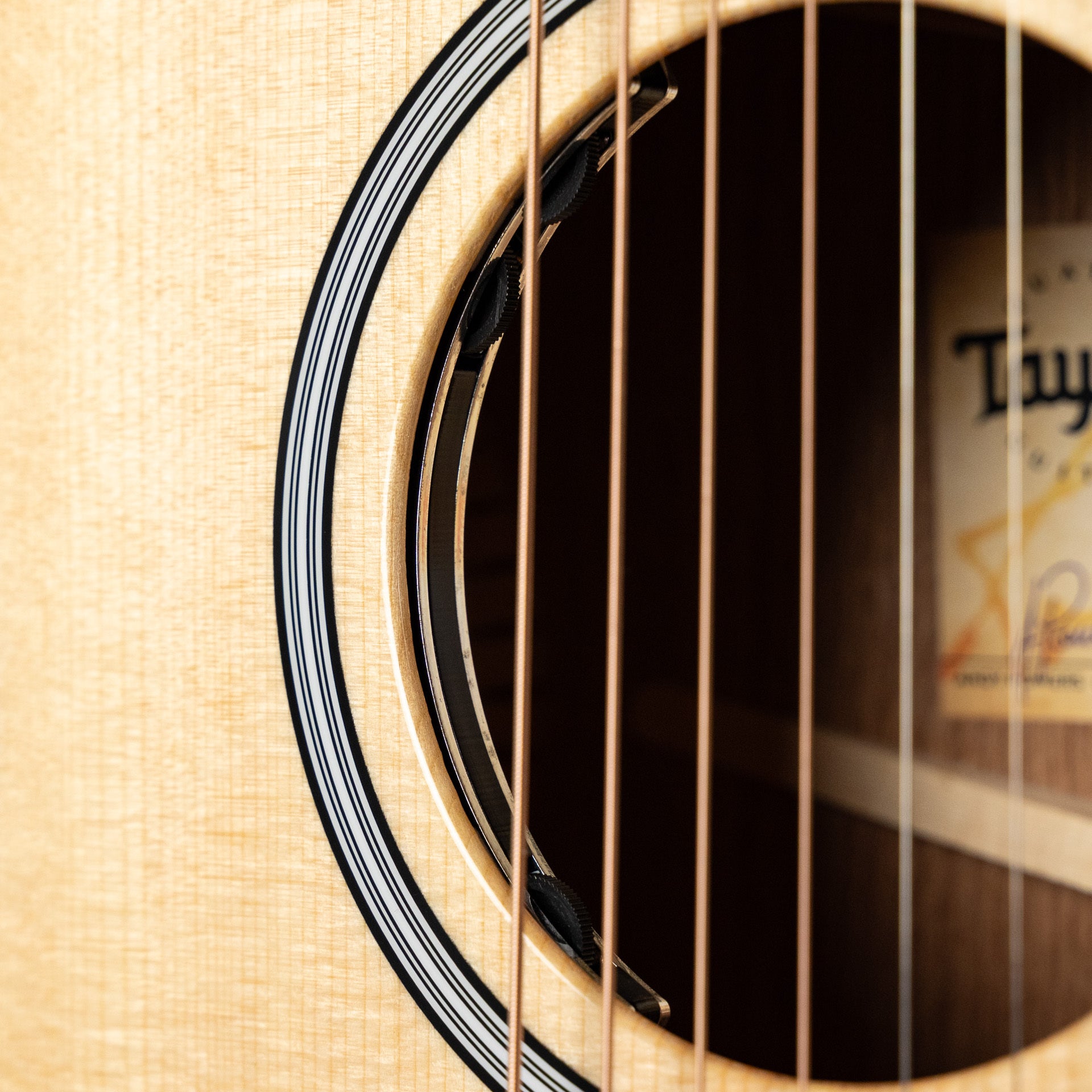 Taylor 312ce, Next Generation
