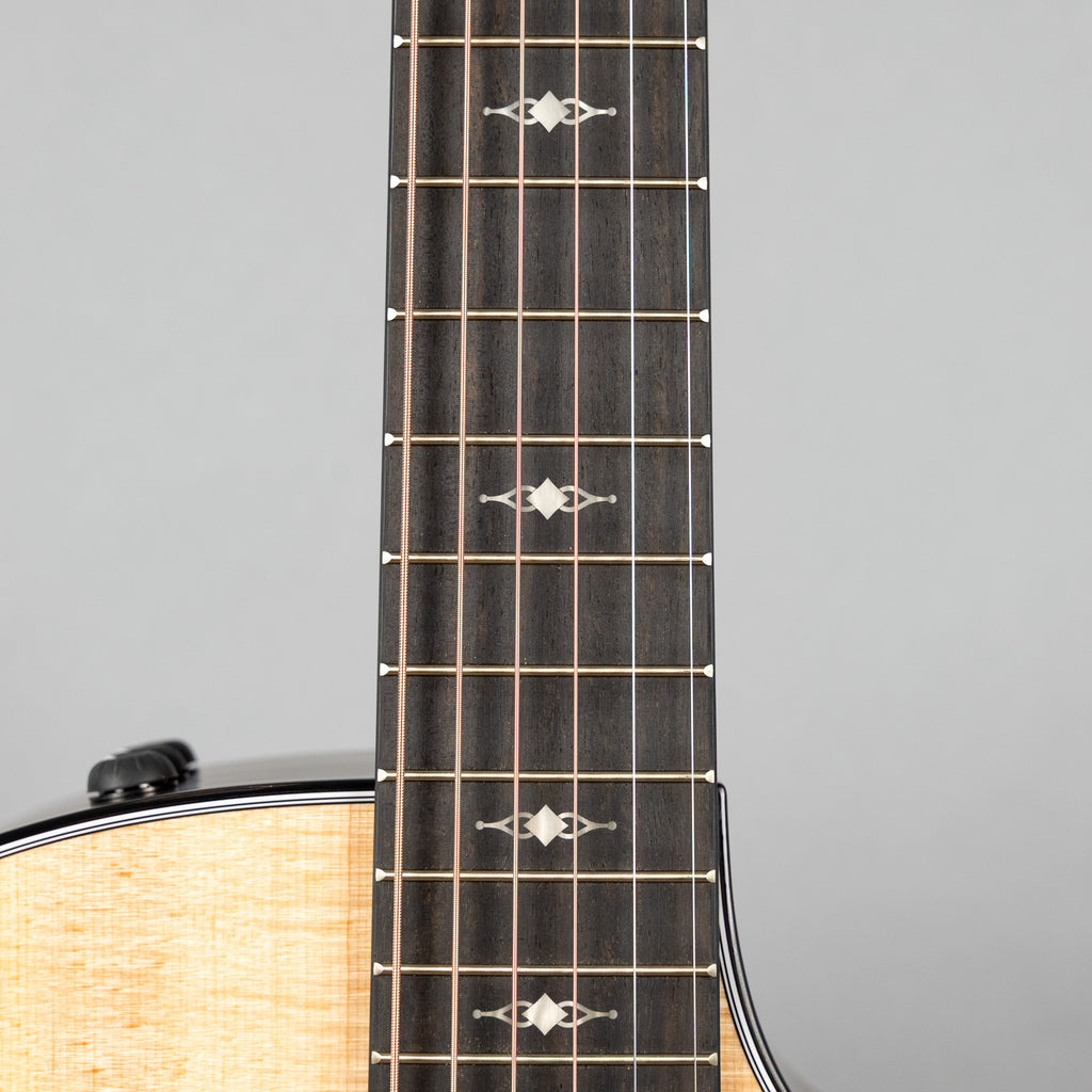 Taylor 314ce Acoustic Guitar