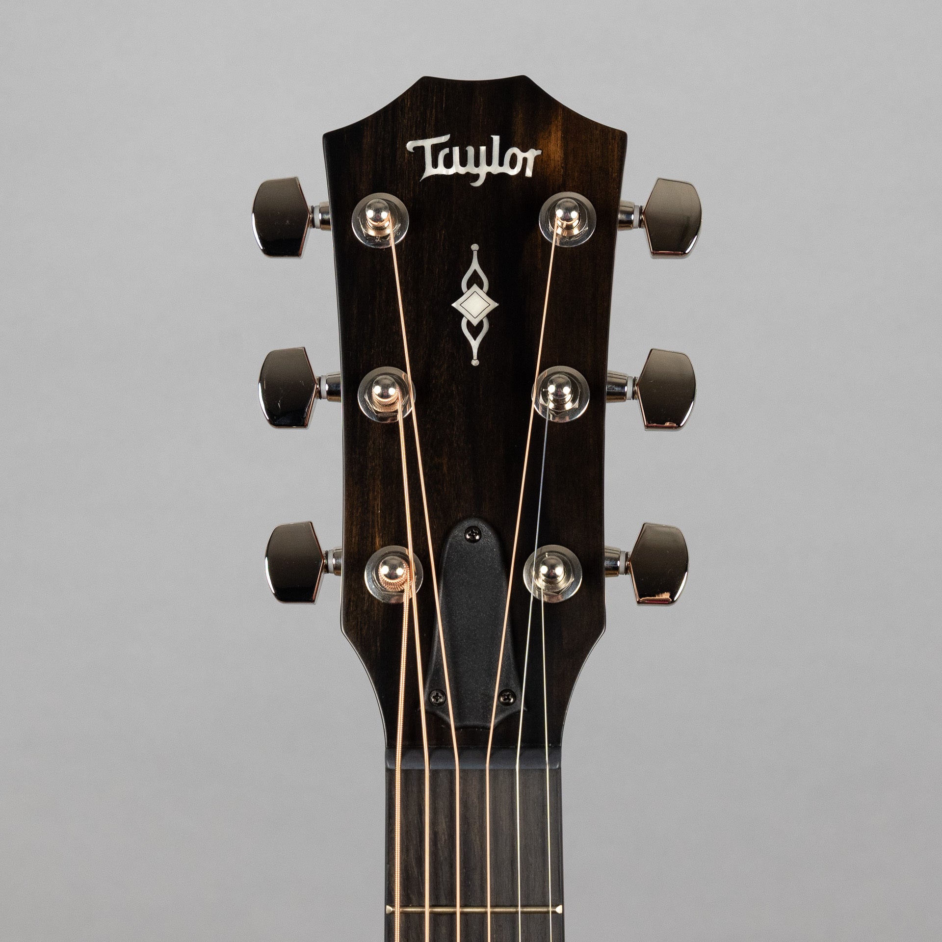Taylor 314ce Acoustic Guitar