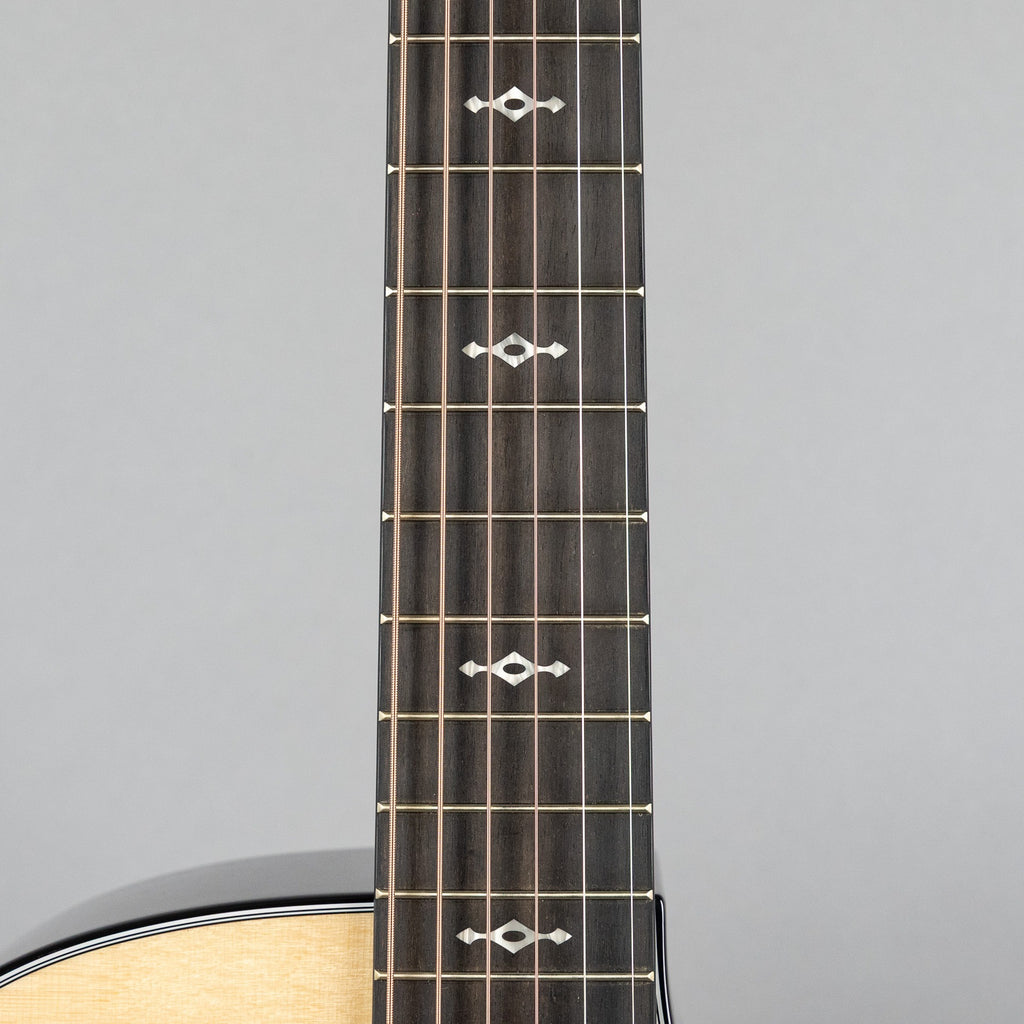 Taylor 414ce, Next Generation