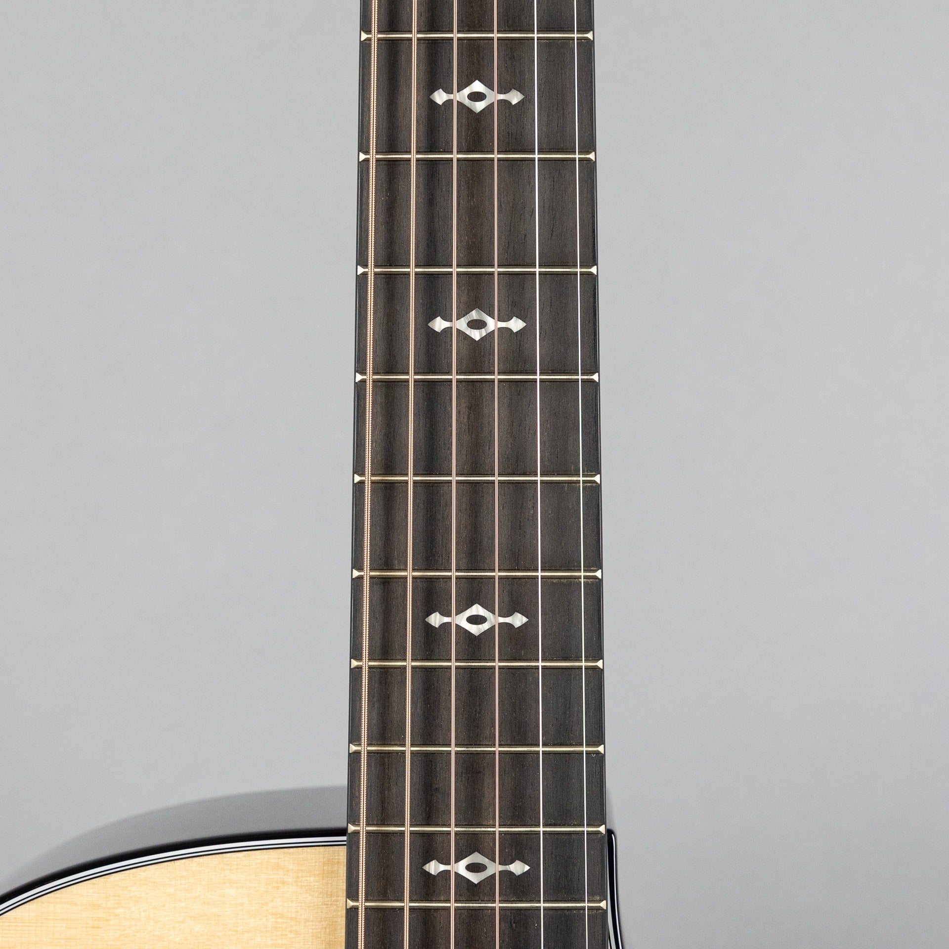 Taylor 414ce, Next Generation