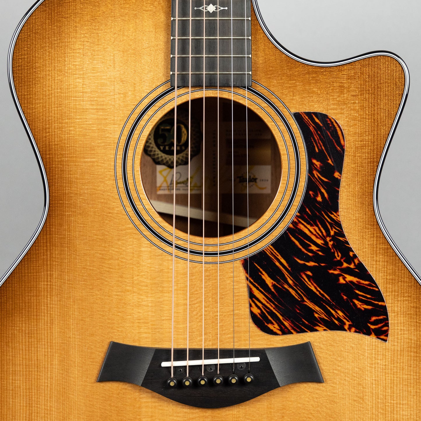 Taylor 50th Anniversary 314ce LTD Acoustic Guitar