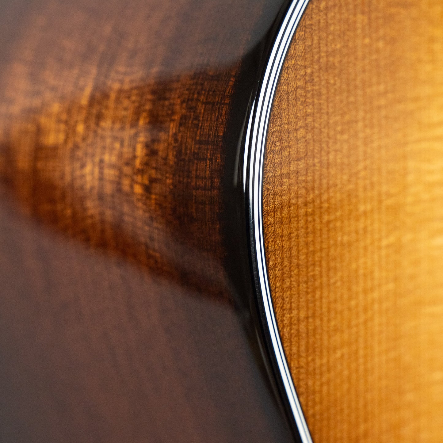 Taylor 50th Anniversary 314ce LTD Acoustic Guitar