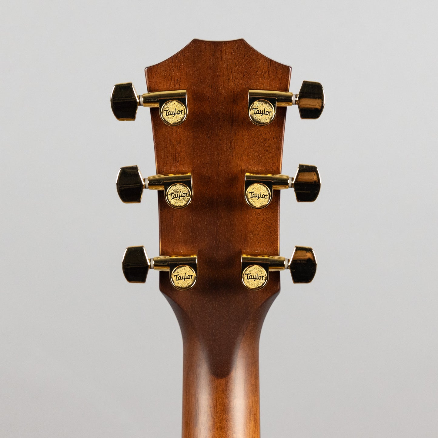 Taylor 50th Anniversary 314ce LTD Acoustic Guitar